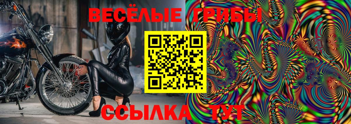 Майский  Галлюциногенные грибы Cubensis  Вход с VPN 