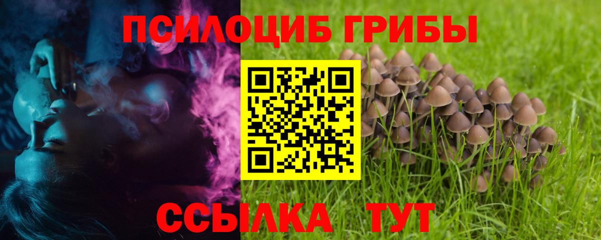 Псилоцибиновые грибы MAGIC MUSHROOMS Майский
